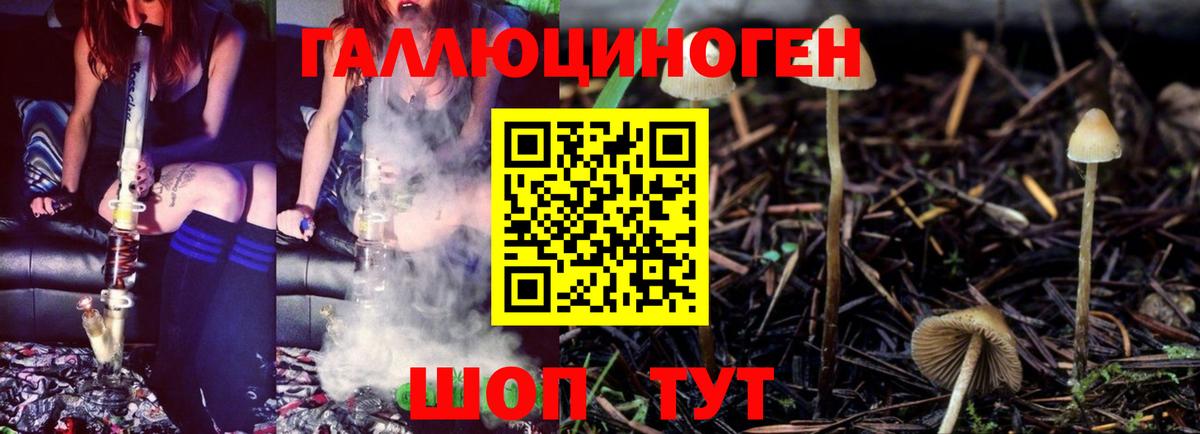 Галлюциногенные грибы Magic Shrooms  Вход с VPN  Белореченск  Псилоцибиновые грибы Cubensis 