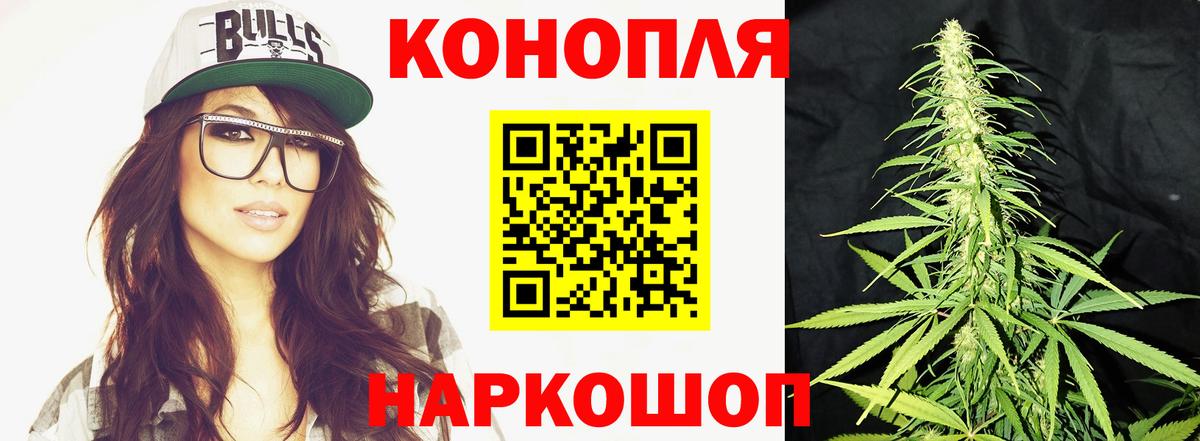 Марихуана сатива Белореченск